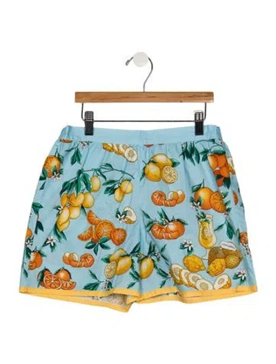 Pre-owned Dolce & Gabbana Kids' Boys Branded Pattern Printed Shorts In Blue