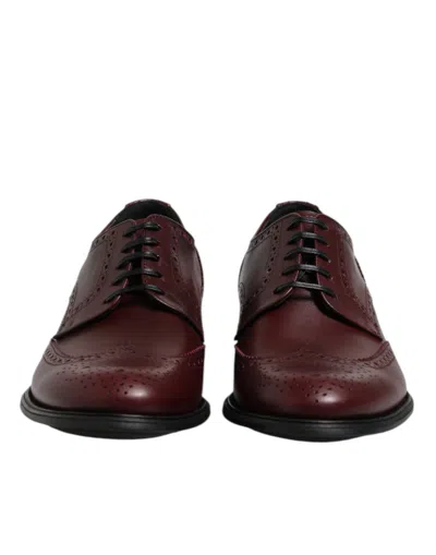 Dolce & Gabbana Brogue Leather Derby In Brown