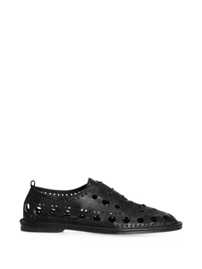 Dolce & Gabbana Brogues In Calfskin In Multi