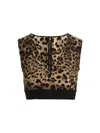 Dolce & Gabbana Brown Animal Print Cropped Top In Brown