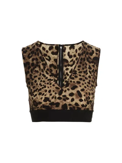 Dolce & Gabbana Brown Animal Print Cropped Top