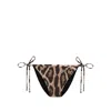 Dolce & Gabbana Animal Print Bikini Briefs In Brown