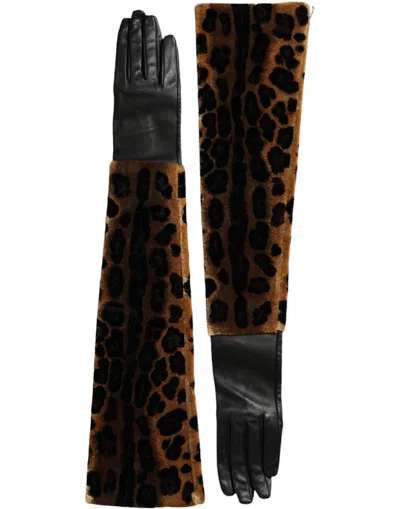Dolce & Gabbana Brown Black Leopard Leather Elbow Length Women's Gloves In Multi