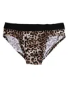 Dolce & Gabbana Brown Cotton Leopard Logo Midi Brief Underwear In Brown