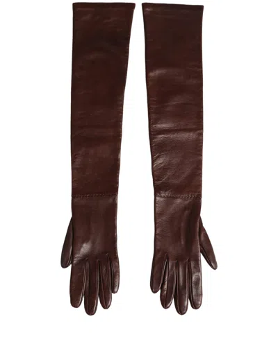 Dolce & Gabbana Genuine Leather Long Elbow Length Gloves In Brown