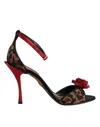 Dolce & Gabbana Brown Leopard Crystal Roses Sandals Shoes In Brown