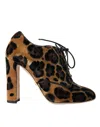 Dolce & Gabbana Brown Leopard Hair Lace Up Booties Shoes In Brown
