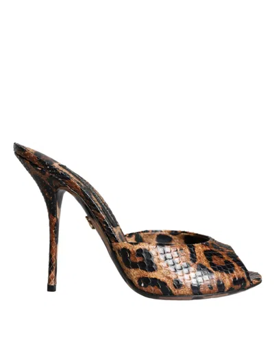 Dolce & Gabbana Brown Leopard Leather Slides Heels Sandals Women's Shoes