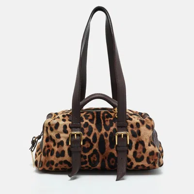 Pre-owned Dolce & Gabbana Brown Leopard Print Calf Hair And Leather Satchel
