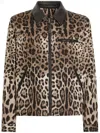 Dolce & Gabbana Leopard Print Jacket With Black Leather Collar In Brown