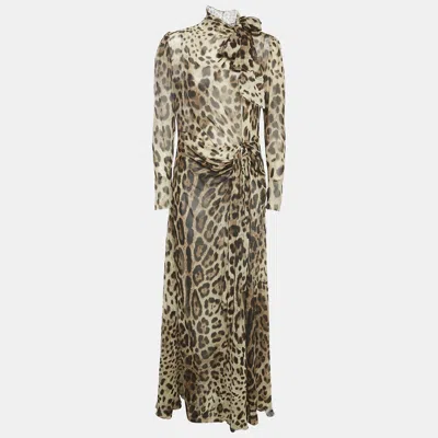 Pre-owned Dolce & Gabbana Brown Leopard Print Silk Maxi Dress M