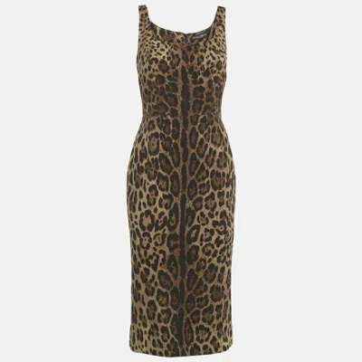 Pre-owned Dolce & Gabbana Brown Leopard Print Silk Midi Dress M