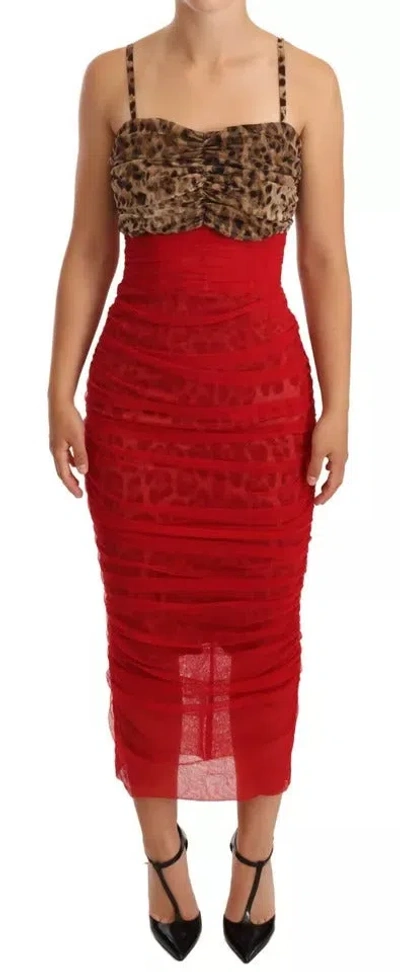 Dolce & Gabbana Brown Leopard Red Tulle Sheath Midi Women's Dress In Animal Print