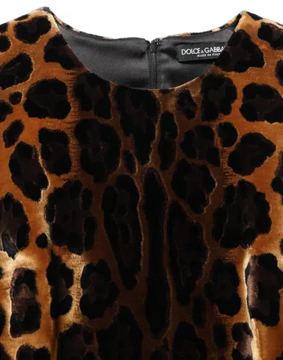 Dolce & Gabbana Brown Leopard Sleeveless Sheath Mini Dress In Animal Print