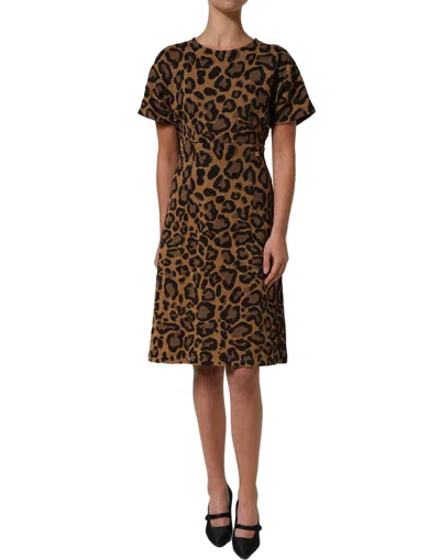 Dolce & Gabbana Brown Leopardprint Flared A-line Mini Women's Dress