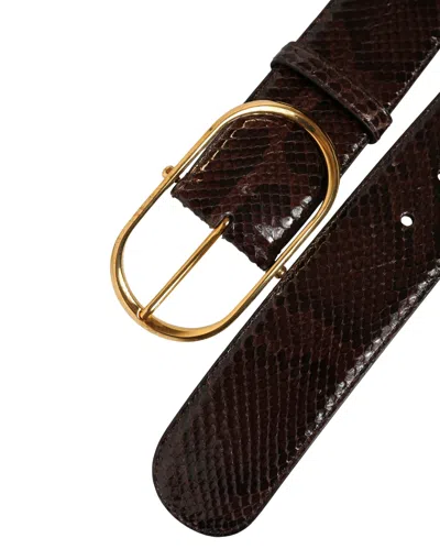 Dolce & Gabbana Brown Python Leather Gold Metal Buckle Belt