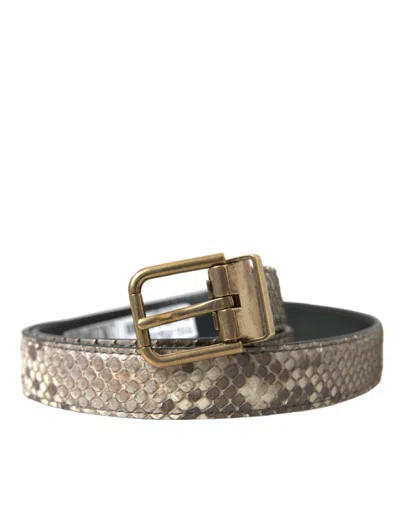 DOLCE & GABBANA BROWN PYTHON LEATHER GOLD METAL BUCKLE BELT