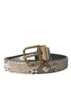 Dolce & Gabbana Brown Python Leather Gold Metal Buckle Belt In Brown