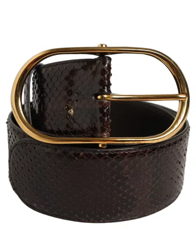 Dolce & Gabbana Brown Python Leather Gold Metal Buckle Women's Belt