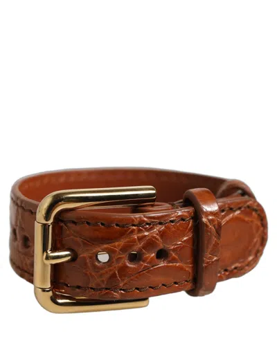 Dolce & Gabbana Brown Textured Leather Gold Buckle Belt Strap Women's Bracelet