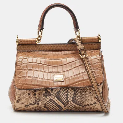 Pre-owned Dolce & Gabbana Brown/beige Crocodile And Python Small Miss Sicily Top Handle Bag