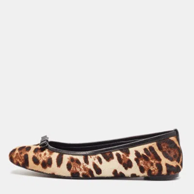 Pre-owned Dolce & Gabbana Brown/beige Leopard Print Calf Hair Ballet Flats Size 36