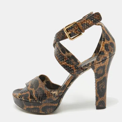 Pre-owned Dolce & Gabbana Brown/black Python Platform Ankle Strap Sandals Size 41