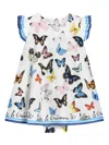 Dolce & Gabbana Poplin Dress With Butterfly Print In White