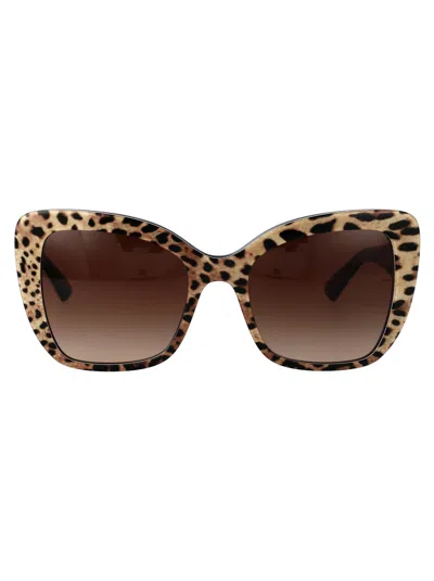 Dolce & Gabbana Butterfly Sunglasses 0 Dg4348 316313 In Brown