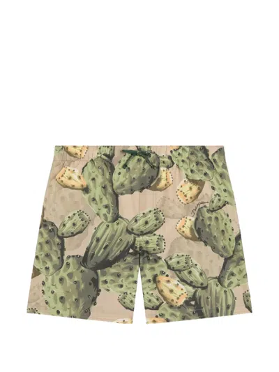 Dolce & Gabbana Kids' Cactus-print Medium Nylon Swim Shorts In Multi