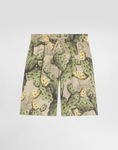 Dolce & Gabbana Kids' Cactus-print Poplin Bermuda Shorts In Multi