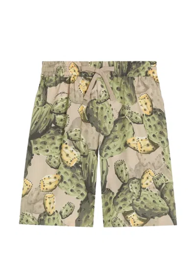 Dolce & Gabbana Kids' Cactus-print Poplin Bermuda Shorts In Multi