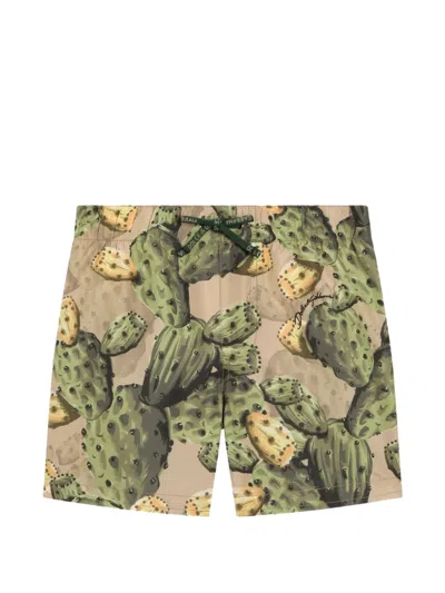 Dolce & Gabbana Babies' Cactus-print Swim Shorts In Green