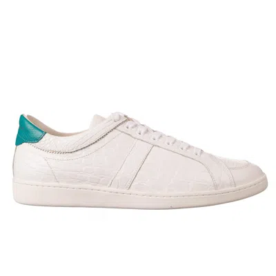 Pre-owned Dolce & Gabbana Caiman Leather Sneaker Shoes Guatemala White Azure 08657