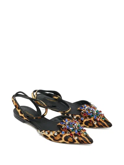 Pre-owned Dolce & Gabbana Calf Hair Studded Flat Pumps In Brown