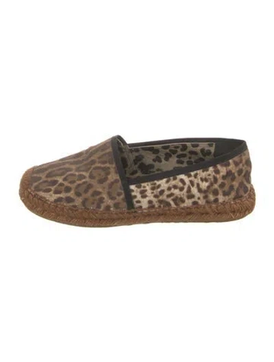 Pre-owned Dolce & Gabbana Canvas Animal Print Espadrilles In Brown