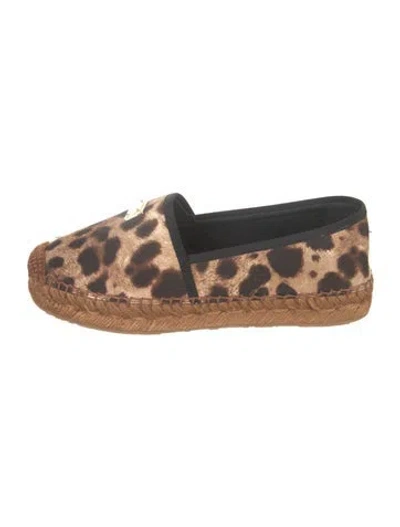 Pre-owned Dolce & Gabbana Canvas Animal Print Espadrilles In Brown