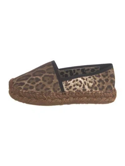 Pre-owned Dolce & Gabbana Canvas Animal Print Espadrilles In Brown