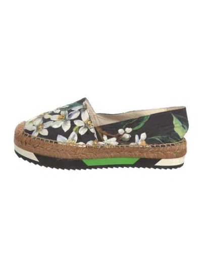 Pre-owned Dolce & Gabbana Canvas Floral Print Espadrilles In Black