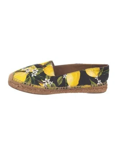 Pre-owned Dolce & Gabbana Canvas Floral Print Espadrilles In Multi