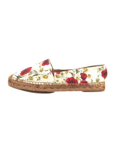 Pre-owned Dolce & Gabbana Canvas Floral Print Espadrilles In White