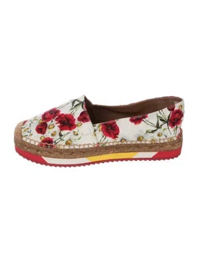 Pre-owned Dolce & Gabbana Canvas Floral Print Espadrilles In White