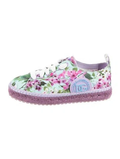 Pre-owned Dolce & Gabbana Canvas Floral Print Sneakers In Purple