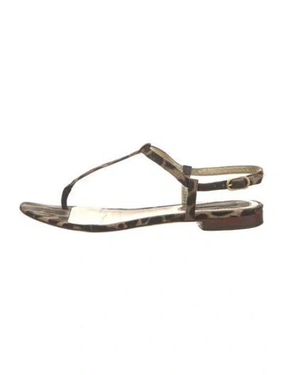 Pre-owned Dolce & Gabbana Canvas In Neutrals