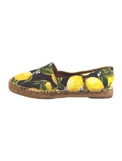 Pre-owned Dolce & Gabbana Canvas Printed Espadrilles In Black