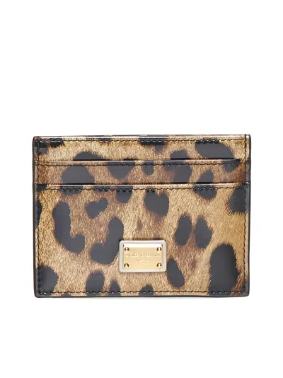 Dolce & Gabbana Women Card Holder In Glossy Calf Leather With Leopard Print In Brown