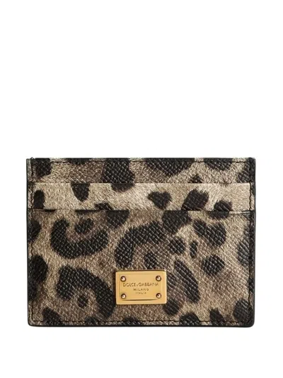 Dolce & Gabbana Card Holder In Leopardprint Dauphine Leather With Logo Plaque In Brown