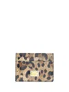 Dolce & Gabbana Card Holder In Leo