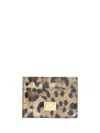 Dolce & Gabbana Card Holder In Leo