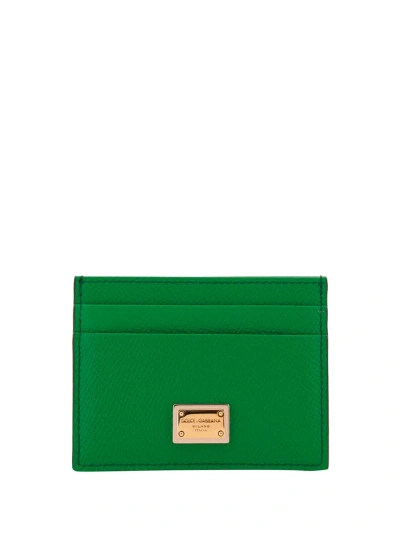 Dolce & Gabbana Card Holder In Verde